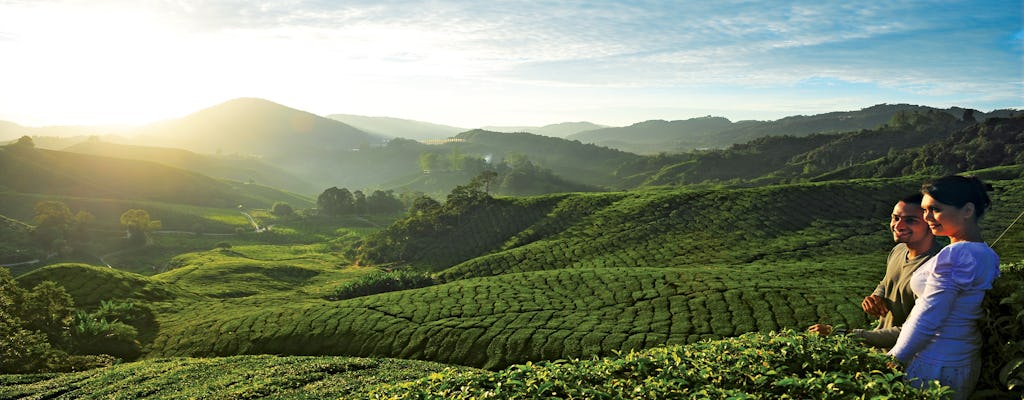Private nature trip to Cameron Highlands from Kuala Lumpur