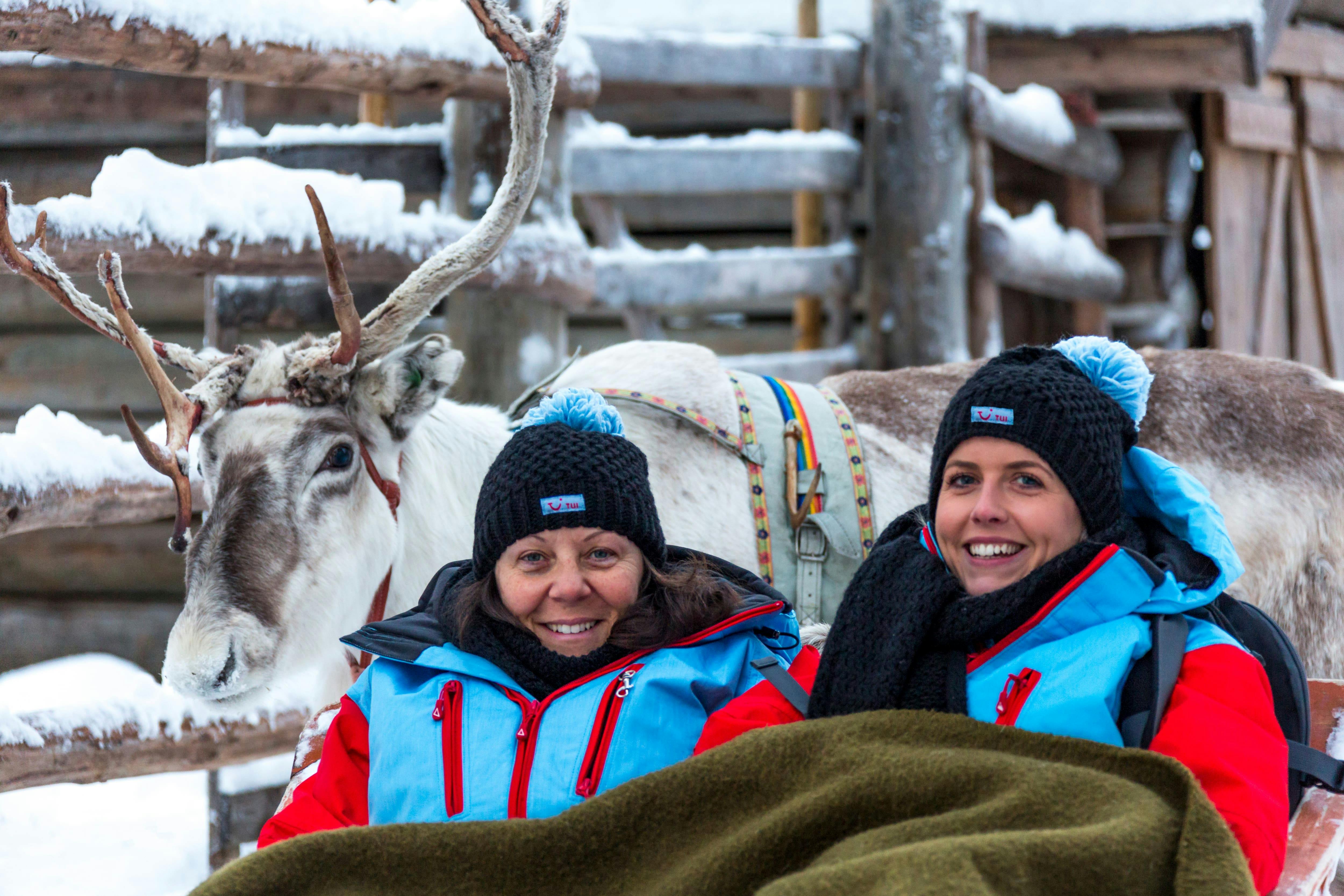 Luosto Reindeer Sleigh Tour