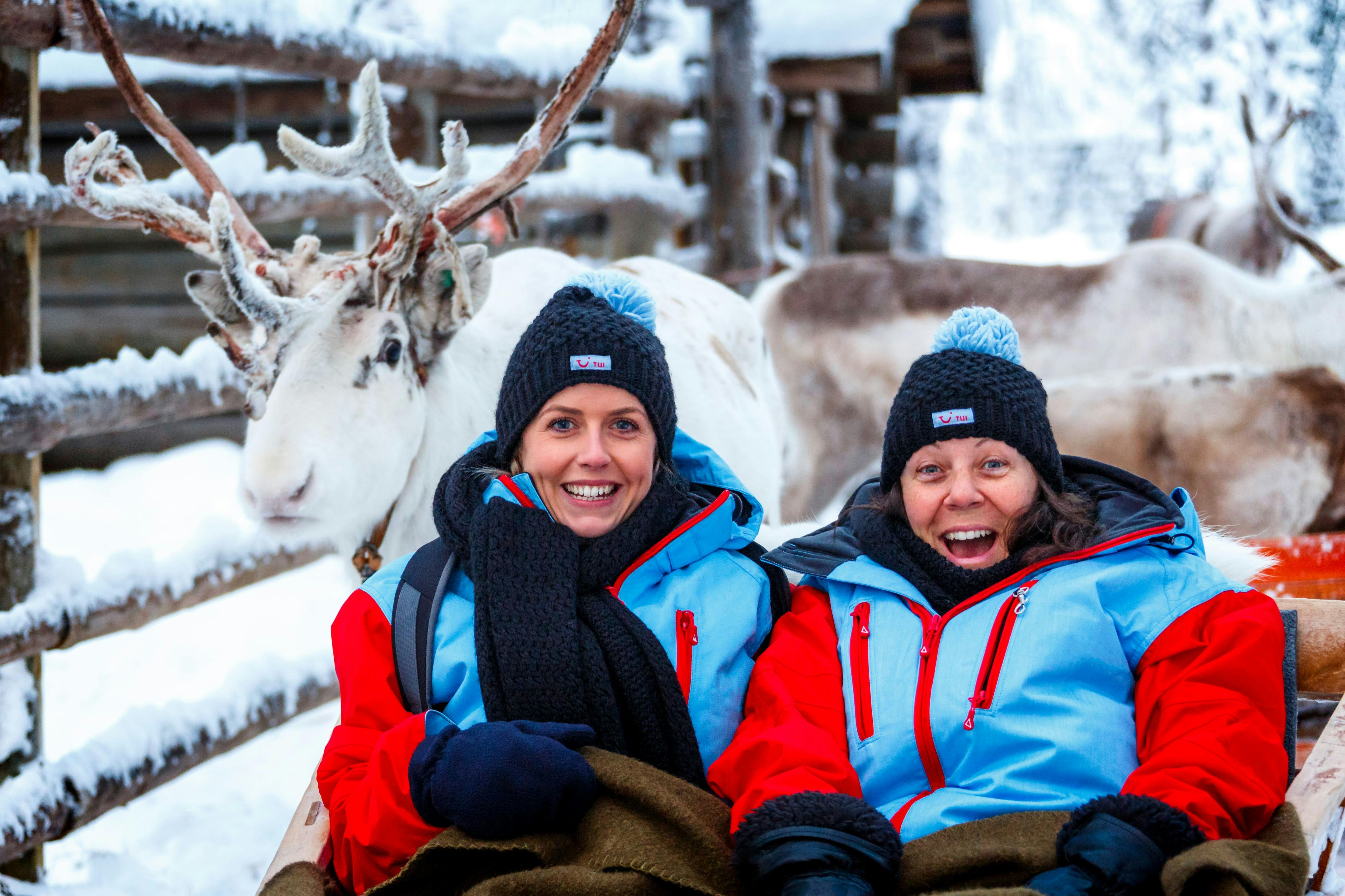 Luosto Reindeer Sleigh Tour