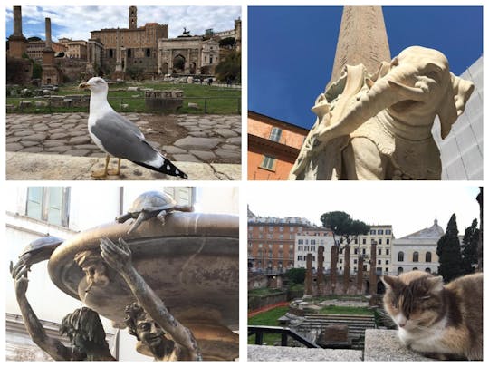 Video tour autoguiado de Roma para niños