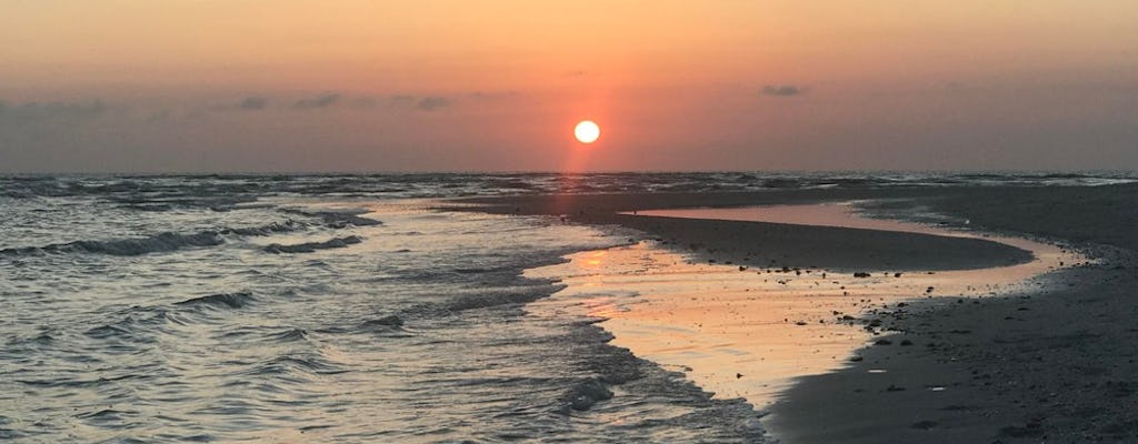 Tour in kayak al tramonto nel passo Cocohatchee River-Wiggins