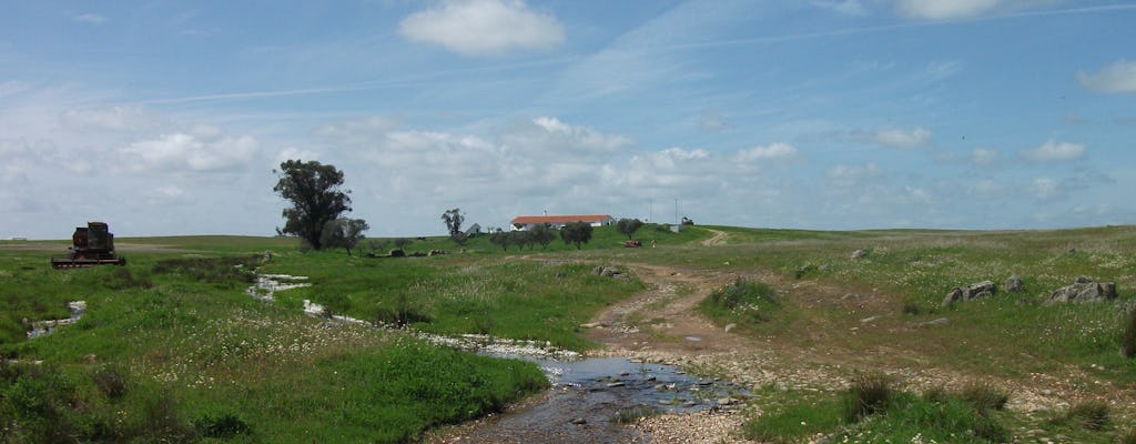 Castro Verde Vogelbeobachtungstour mit Abendessen