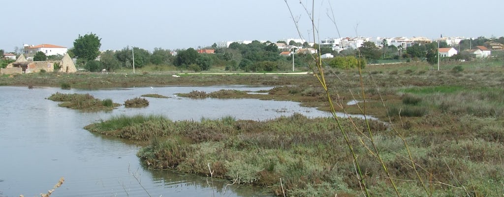 Halbtagestour durch die Lagune von Abicada