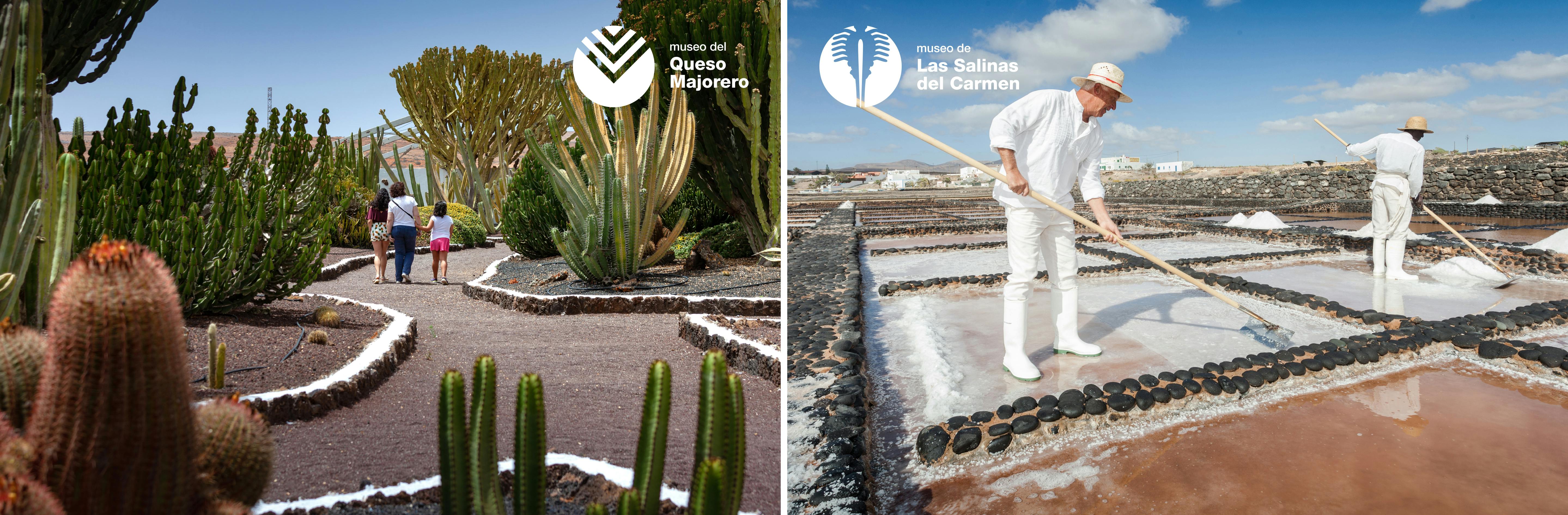 Entradas al Museo de las Salinas del Carmen y Museo del Queso Majorero