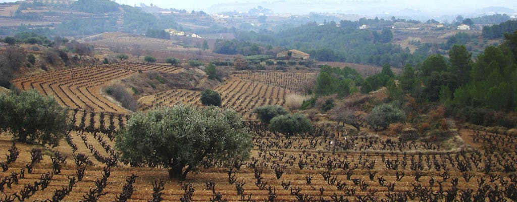 Penedès winery tour in a 4x4