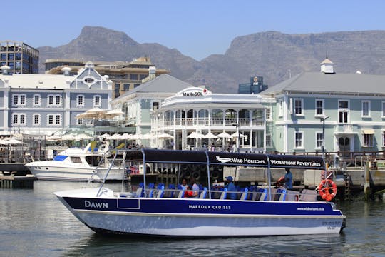 30-minute Cape Town harbor cruise
