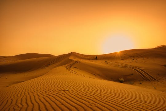 Dune dinner safari at Bassata Camp from Ajman