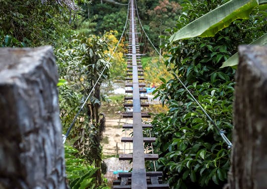 Water Rafting, Rope Bridge, Zipline, ATV 30 mins and Waterfall