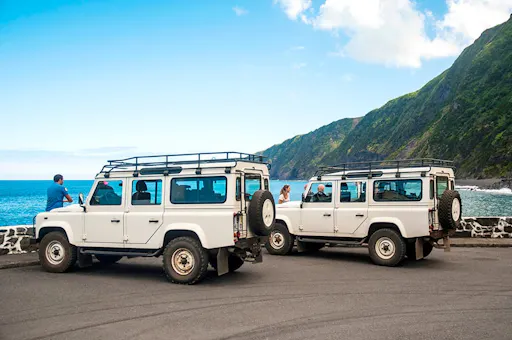 Full Day Whale & 4x4 Package in Faial