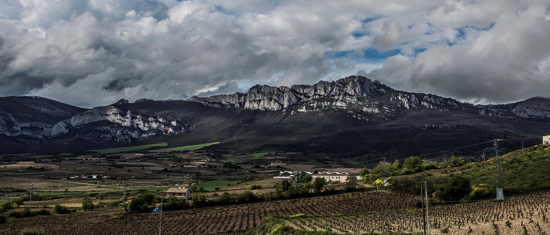 Wijnmakerijbezoek in La Rioja met proeverij en lunch uit Vitoria