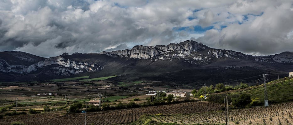 Visita a bodega en La Rioja con degustación y almuerzo desde Vitoria