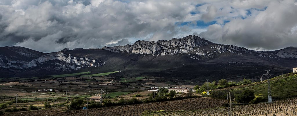 Visita alla cantina a La Rioja con degustazione e pranzo da Vitoria