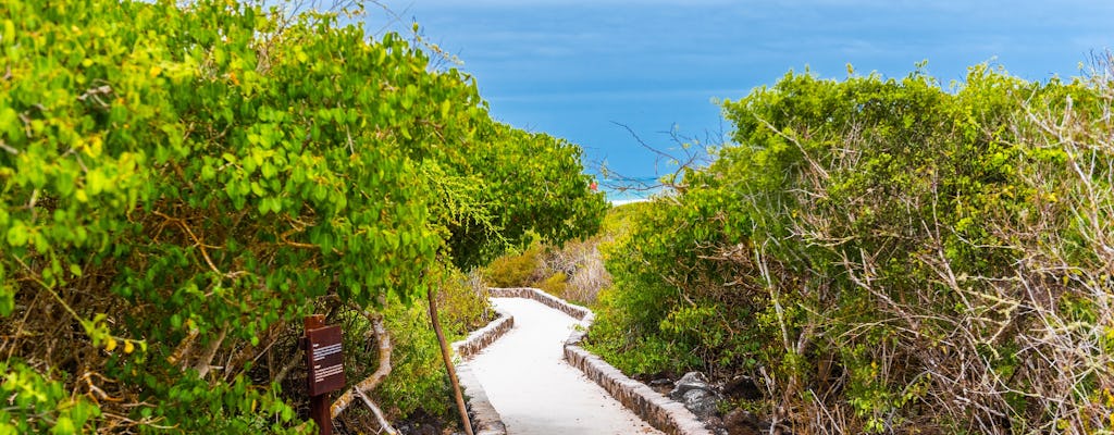 Halbtagestour auf Santa Cruz Island