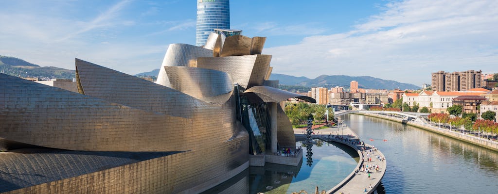 Tour per piccoli gruppi del Museo di Bilbao e Guggenheim da Vitoria