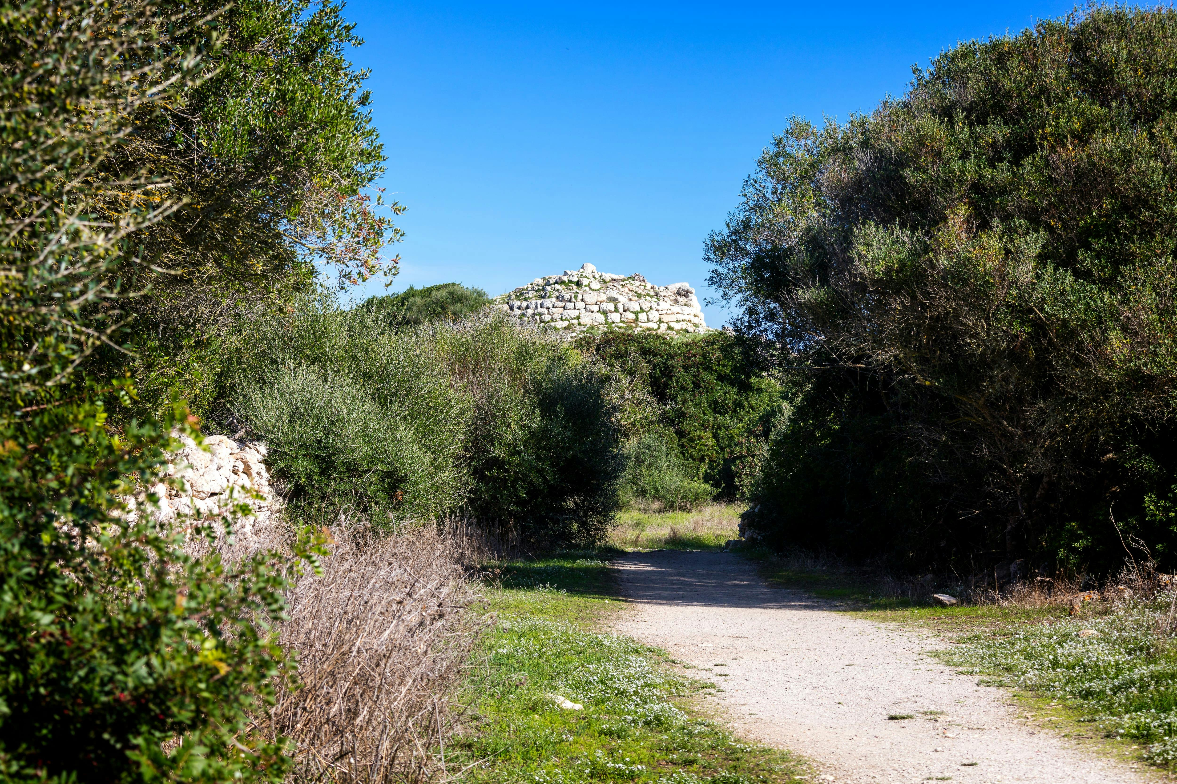 Torralba d'en Salort Ticket