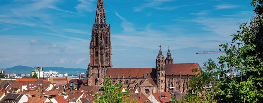 Passeggiata guidata della città di Friburgo