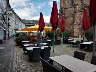 Private city tour of Freiburg