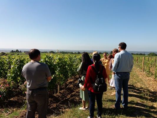 Wycieczka po winnicach w Médoc z Bordeaux