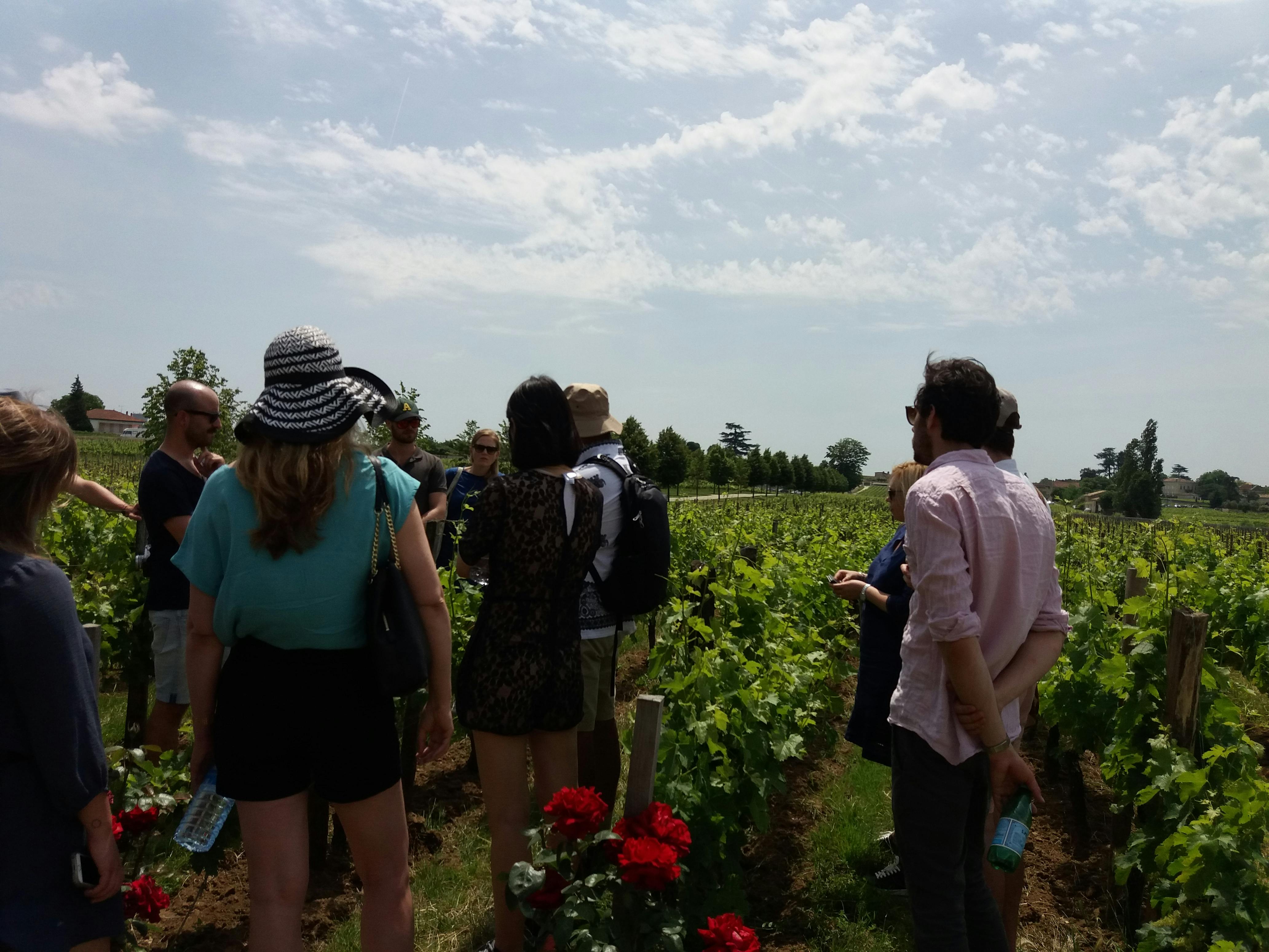 Excursie van een halve dag naar de wijndomeinen van Saint-Emilion vanuit Bordeaux