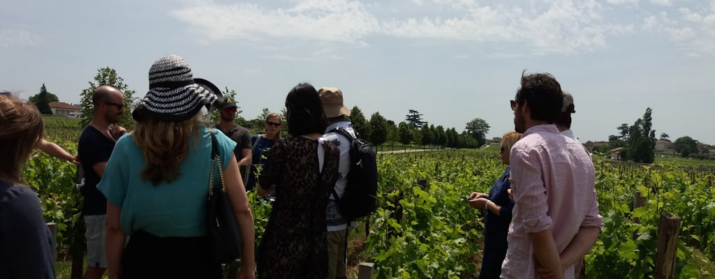 Small-group afternoon tour of Saint-Emilion