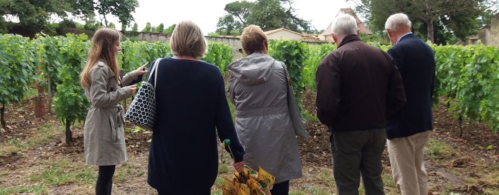 Bezoek aan wijnmakerij met kleine groepen en workshop wijn maken