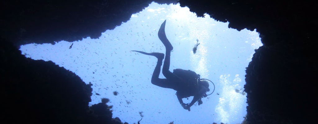 Menorka - spróbuj nurkowania z S'Algar Diving