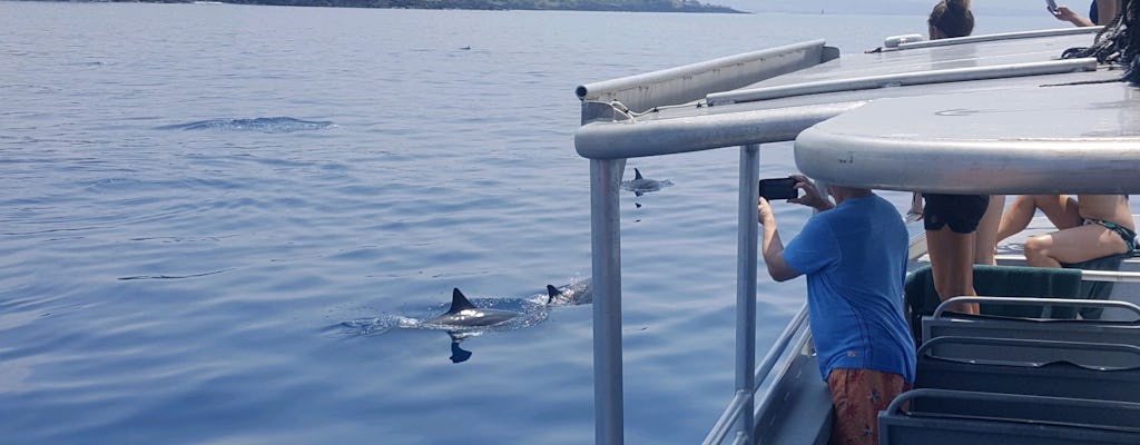 Giro turistico dei delfini e crociera con snorkeling a West Oahu