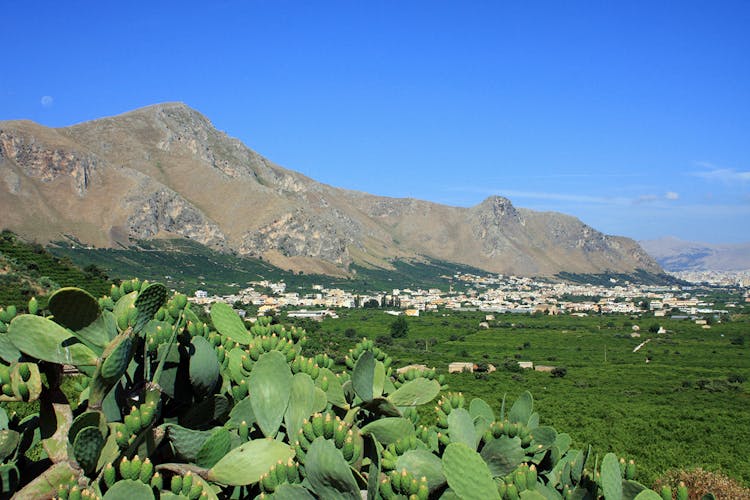 Bike tour to Ciaculli's citrus groves and rural farms from Palermo hertz