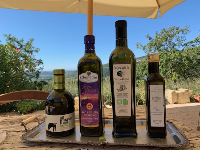 Valpolicella private tour with olive oil tasting