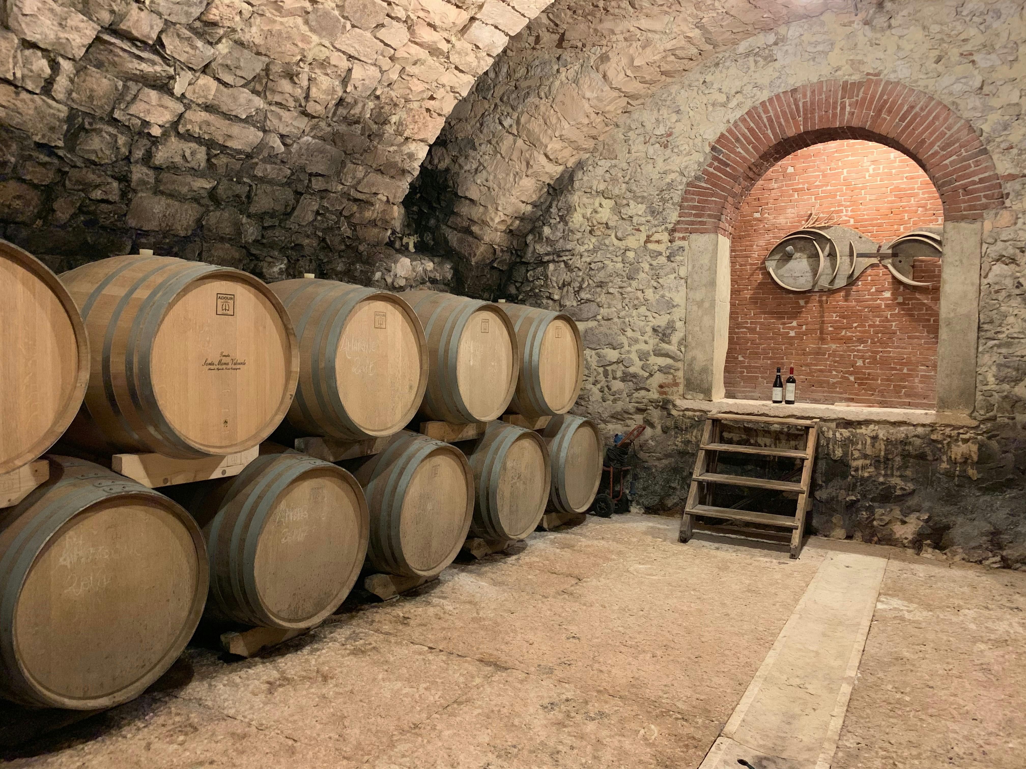 Valpolicella private tour with olive oil tasting Musement