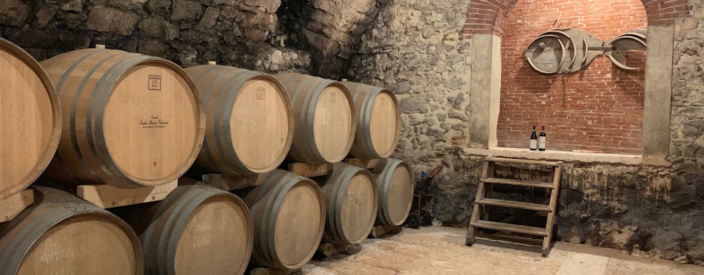 Valpolicella private tour with olive oil tasting