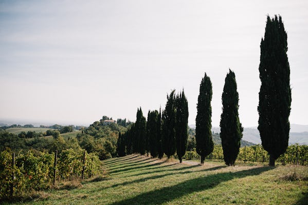 Visite des vignobles de Venturini Baldini avec dégustation de vin et de vinaigre