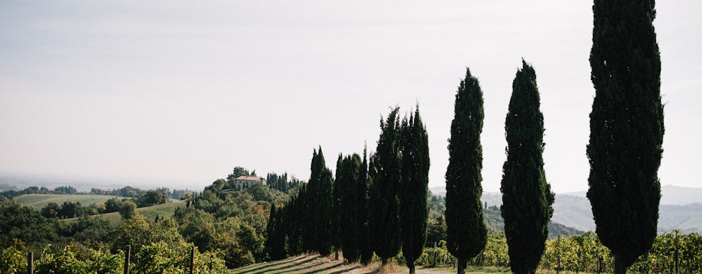 Venturini Baldini winery tour with wine and vinegar tasting