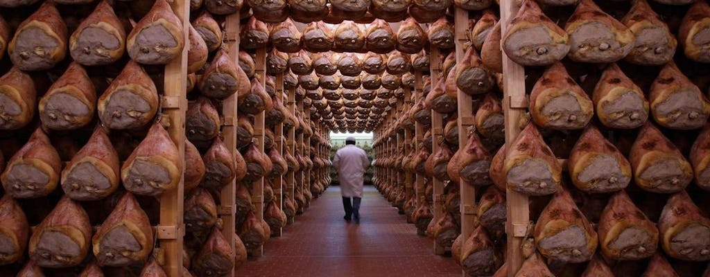 Tour privado de excelencia gastronómica en Parma desde Bolonia