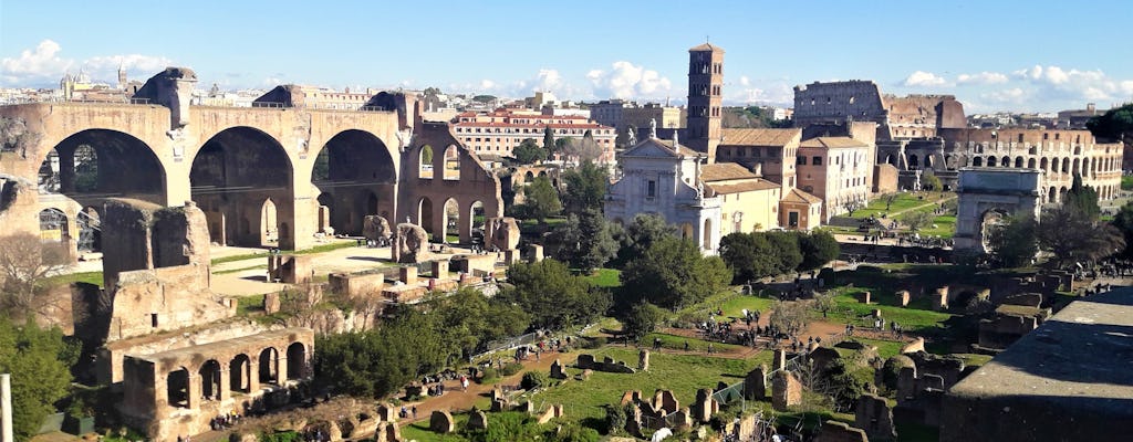 Volledige tour met luxe vervoer in Rome inclusief bezoek aan het Vaticaan, het Colosseum en de fonteinen