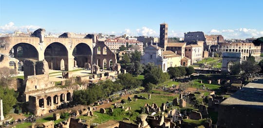 Complete tour of Rome with luxury transfers, Vatican, Colosseum, and fountains