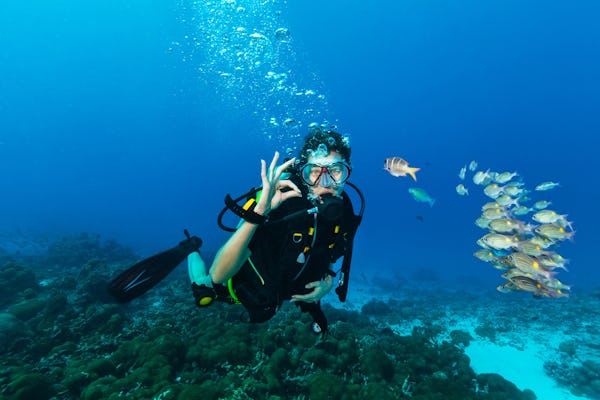 Experiência avançada de mergulhadores em Sharm el-Sheikh