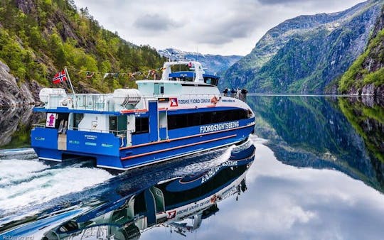 Stadsbezichtiging Bergen met Mostraumen-fjordcruise en Fløien-kabelbaan