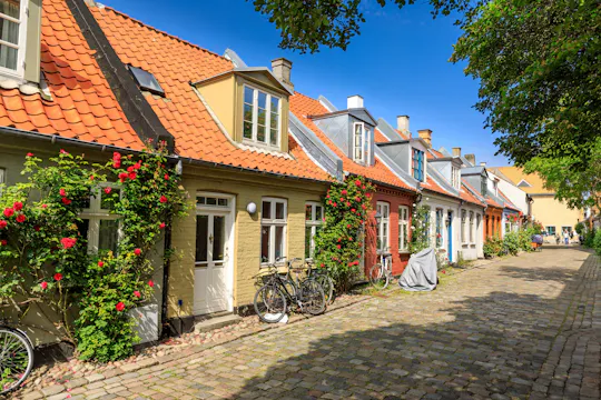 Introducerende rundtur til fods i Aarhus med en lokal