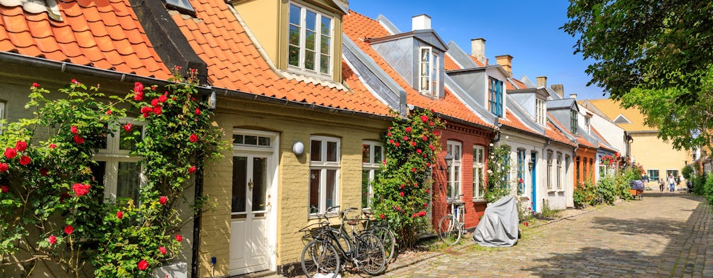 Introductory walking tour of Aarhus with a local