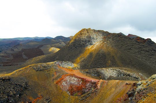 Tour a pie por el volcán Sierra Negra en la isla Isabela