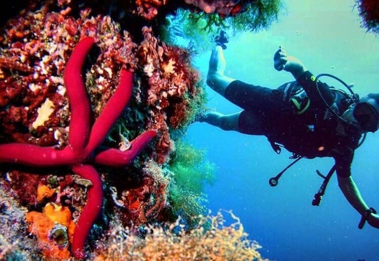 Kurs nurkowania na otwartych wodach z Norway Dive