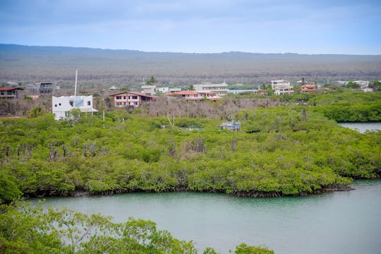 Isabela Island Wetlands Wanderung