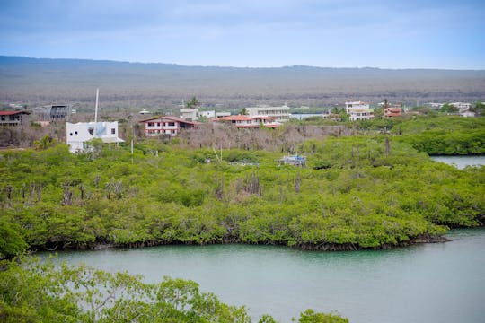 Tour a piedi delle zone umide dell'isola di Isabela