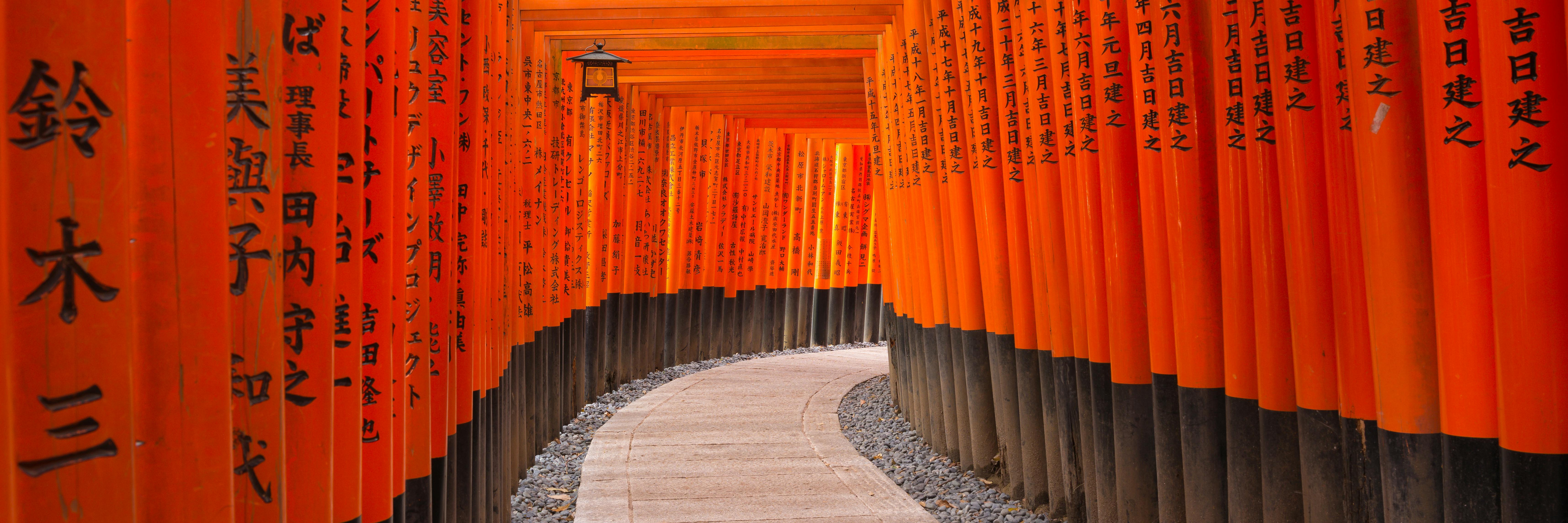 Guided walking tour of Kyoto - City of culture