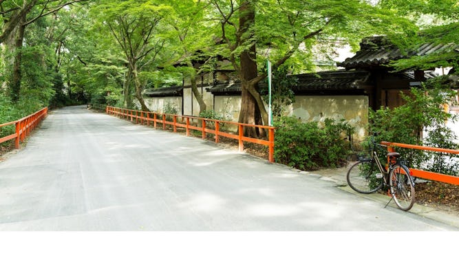 Guided bicycle tour in Kyoto