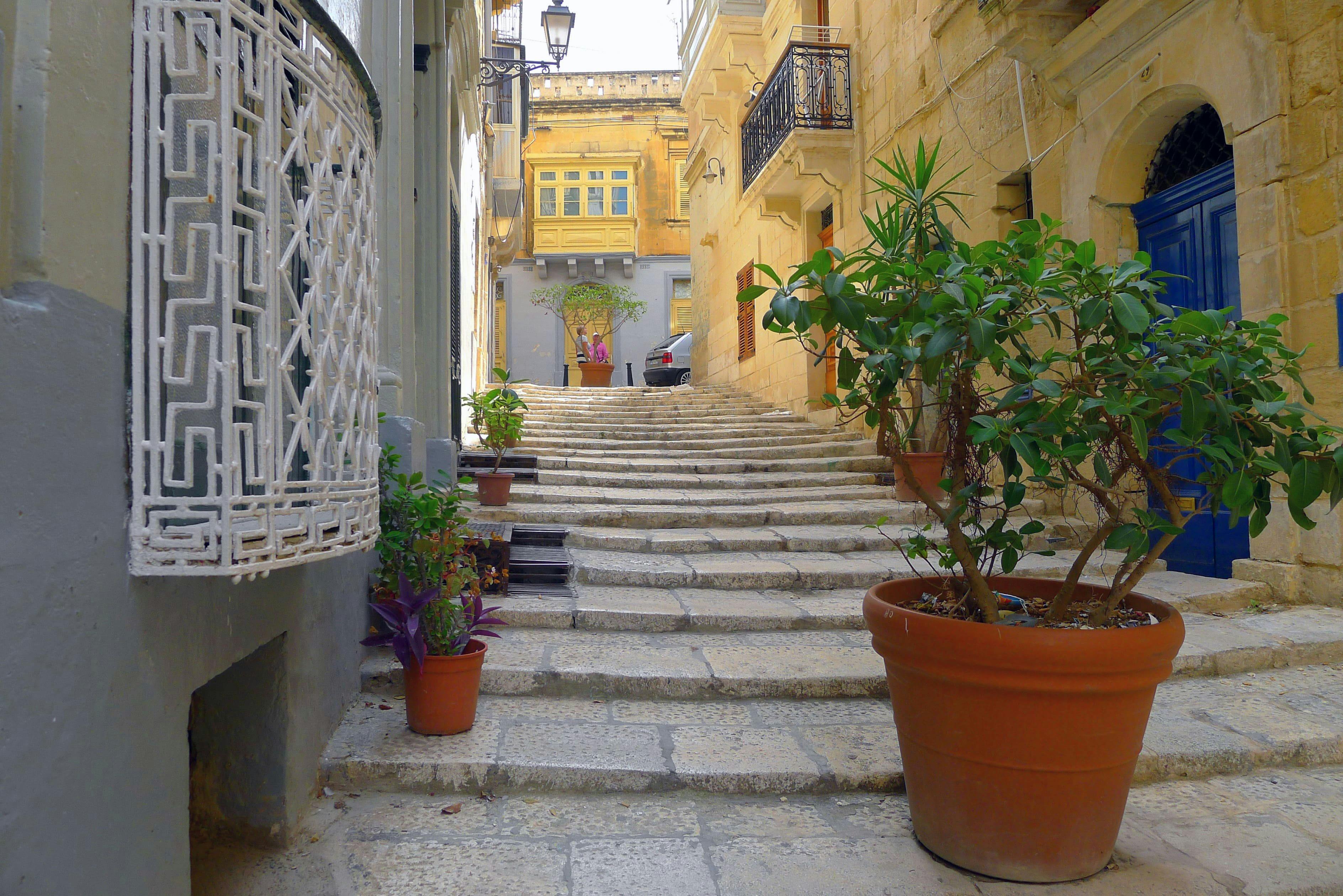 Valletta and the Malta Experience