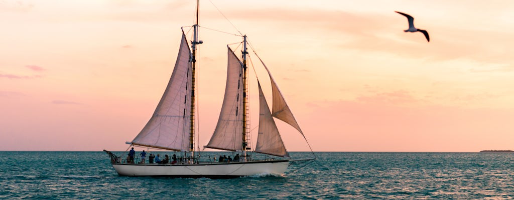 Excursion à la voile d'une journée Appledore Star