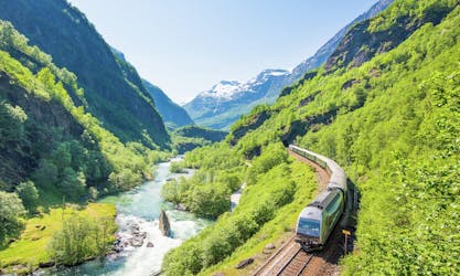 Guided day-tour of the Flåm with a RIB Fjord Safari and Rallarvegen biking