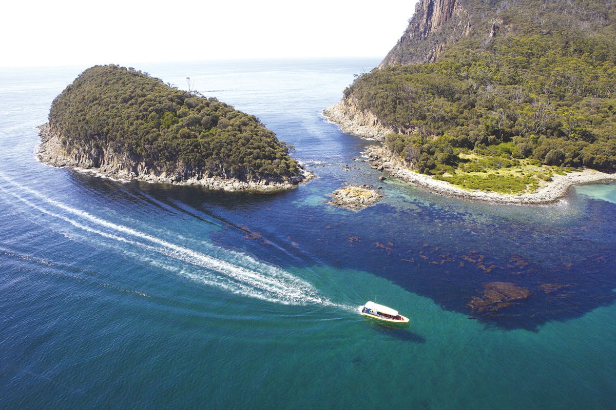 Bruny Island 3 uur durende cruise met ophalen van de Kettering-bus